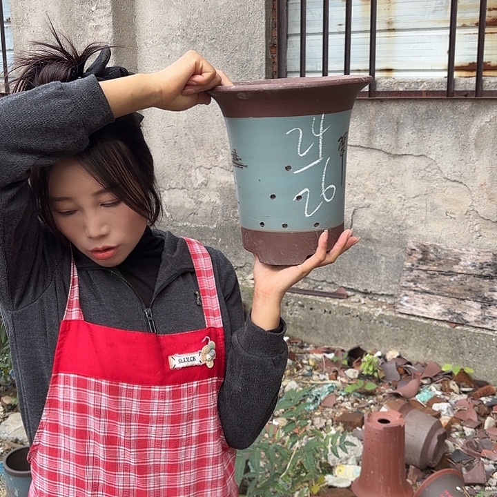 紫砂花盆紫砂的味道