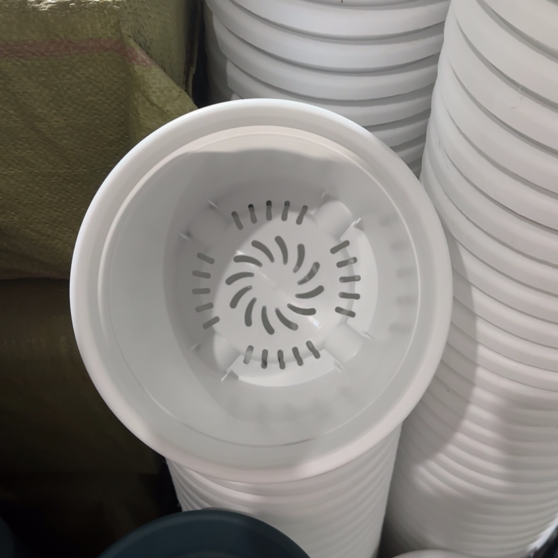 树脂四季3号纯白6个带拖