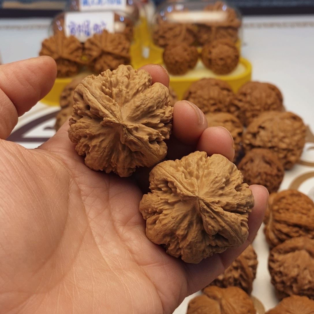 文玩核桃吊坠霸王龙43尺全品