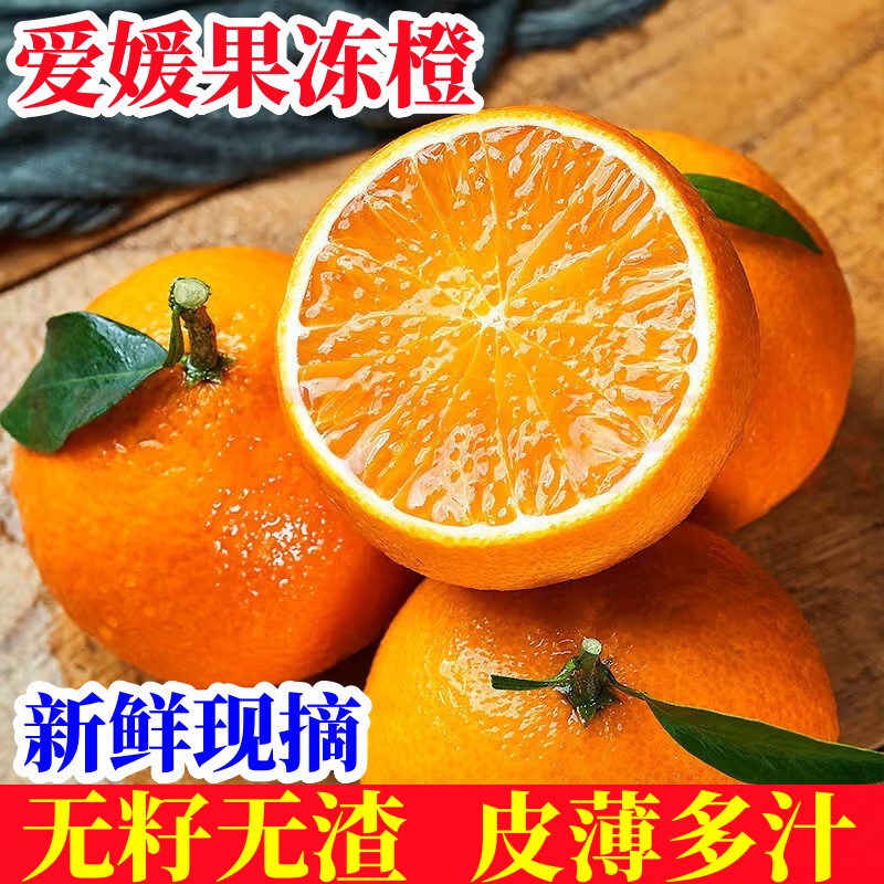 正宗爱媛38号果冻橙应当季新鲜橙子柑橘子现摘孕妇水果产地直发