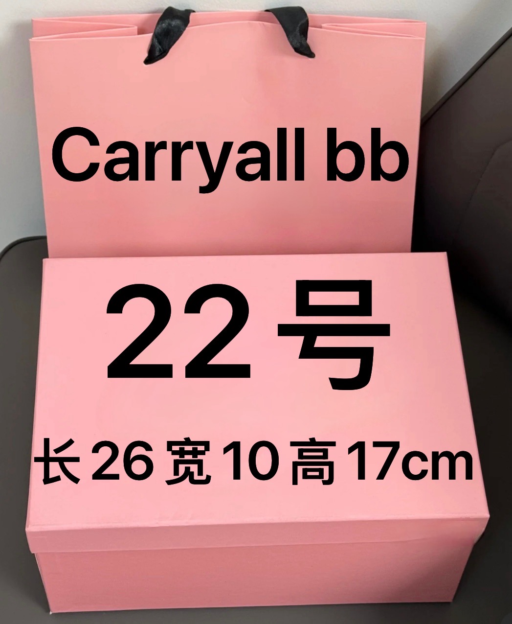 【22号】2025新款斜跨包carryall bb 1019#