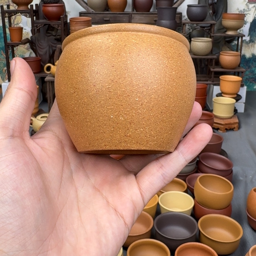 紫砂茶杯545452565555856455