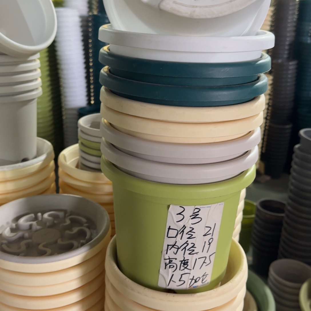 四季3#口径21无拖果绿10个