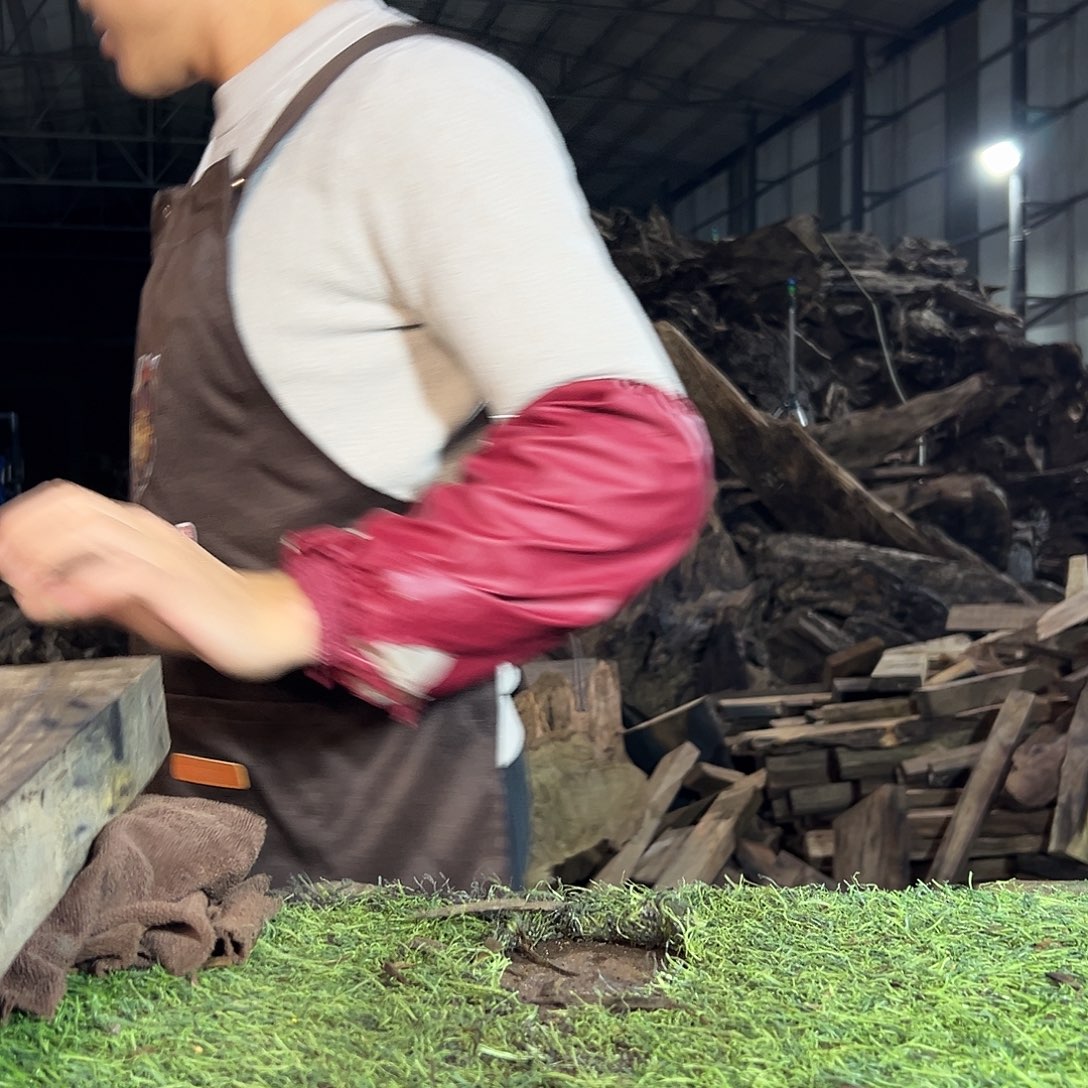 农***人木质类阴沉金丝楠小叶桢楠