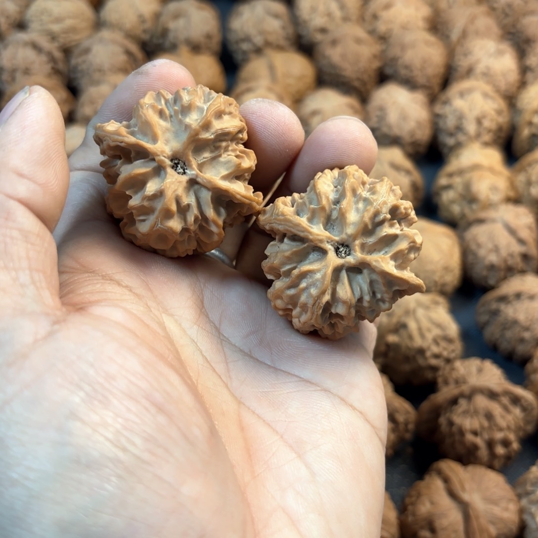 文玩核桃把件苹果