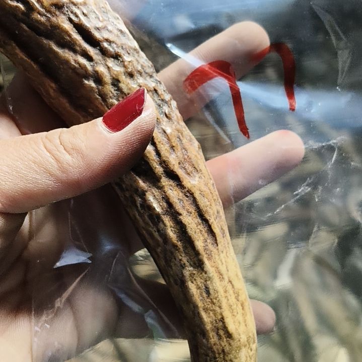 张***生鹿角鹿角鹿角鹿角鹿角鹿角鹿角鹿角鹿角