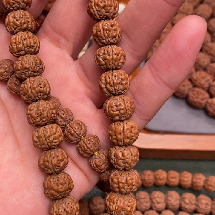 菩提过**。纯血老树王