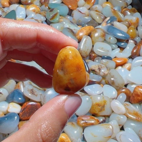 和田玉（糖玉）手链未镶嵌9