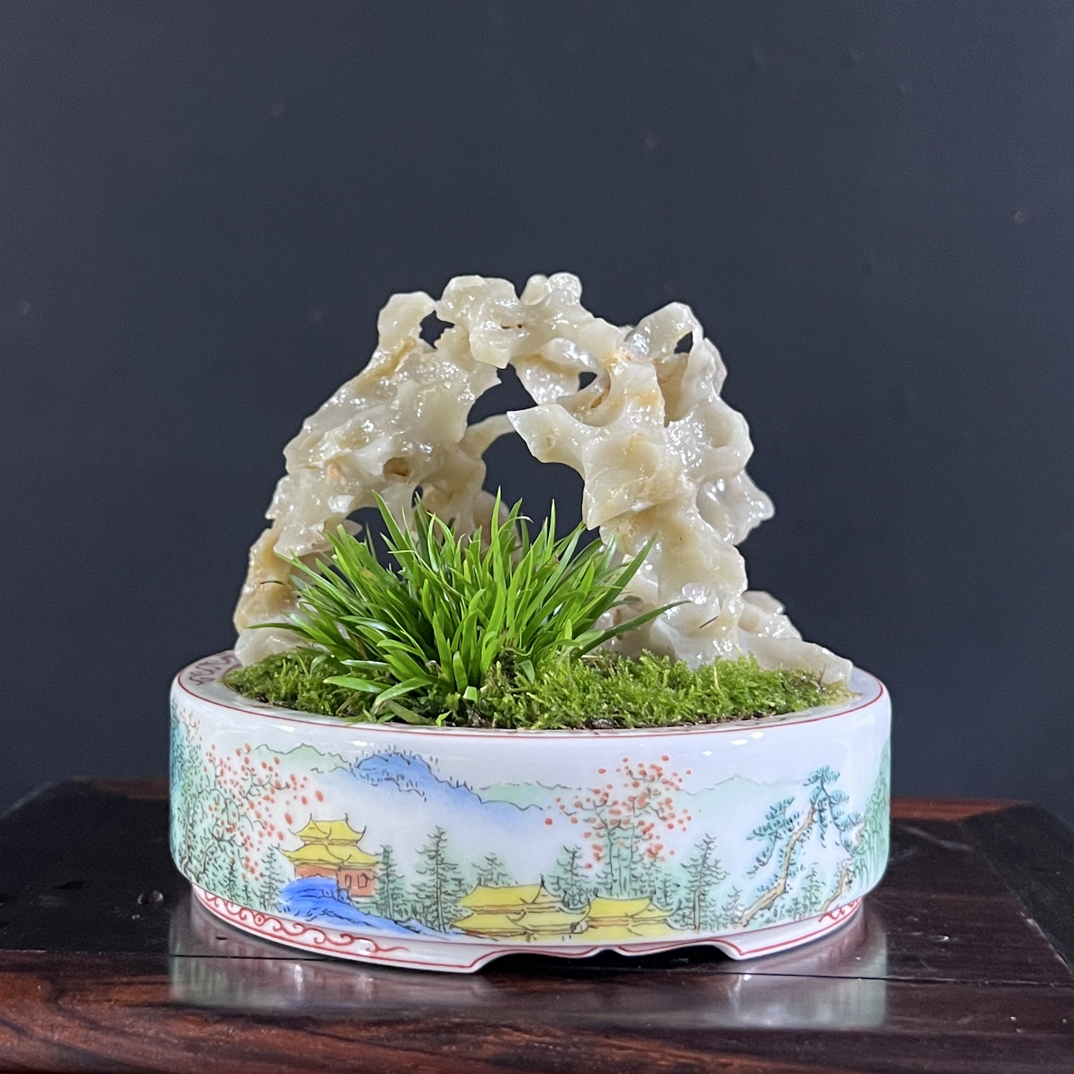 盆景，菖蒲，手绘山水盆，玉玲珑石，盆口10，高度9
