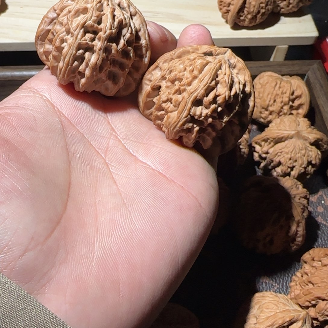 三角白哈哈哈哈哈哈哈哈