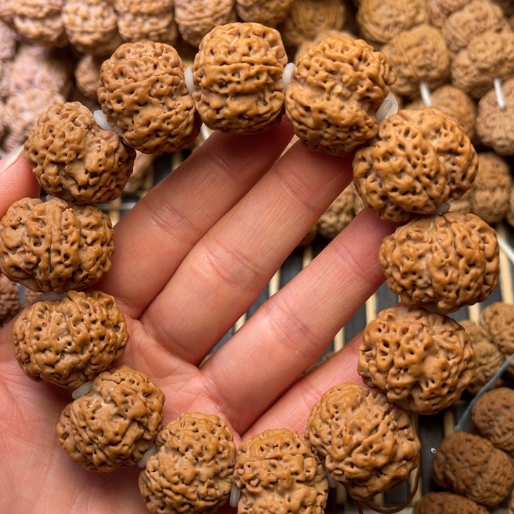 菩提尼泊尔大金刚粗筋双龙梅花24