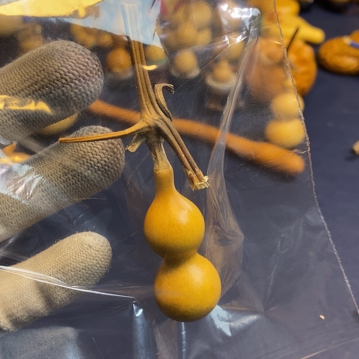 骤***。这个时候应该可以