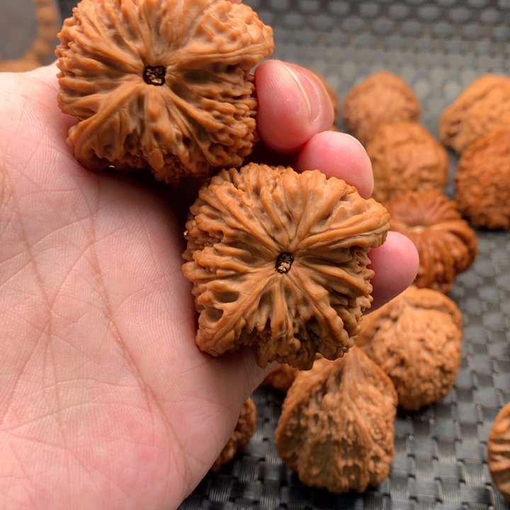 火*异形南疆（上手打底后不退不换）