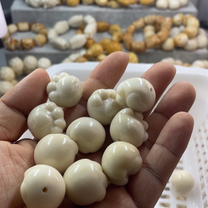 吊坠菩提根/象牙果全品象牙果猫爪十颗卡21