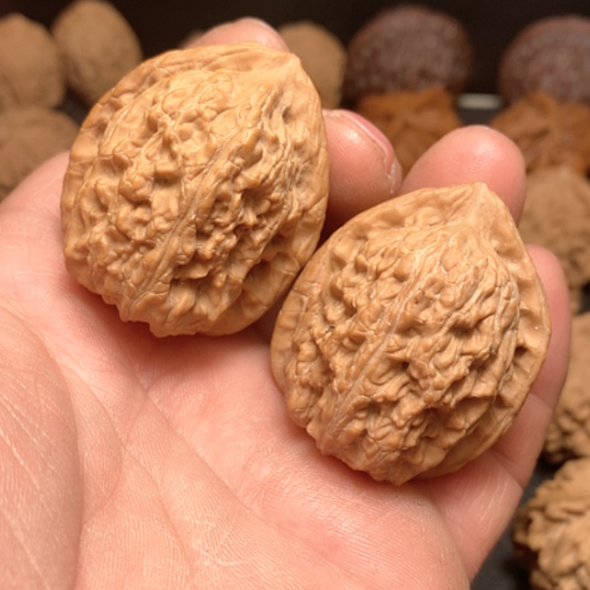 【闪购商品】爱**文赤龙鸡心