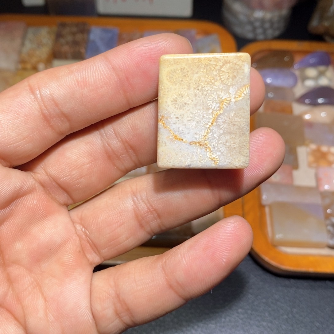 【闪购商品】硅化玉颈饰未镶嵌