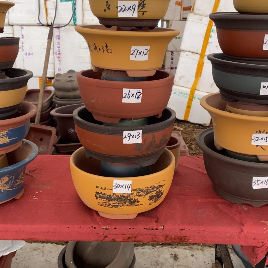 第三组。   5只圆盆