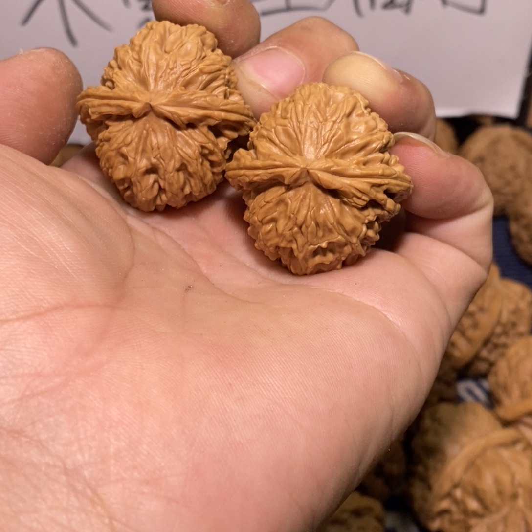 核桃把件34尺白狮子
