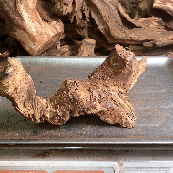 花梨木类枫**途海南花l