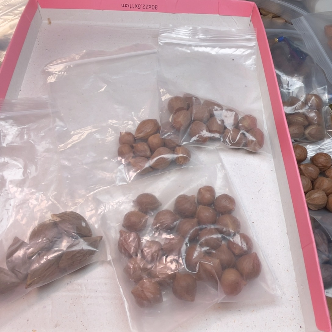 陈***希手串/手链橄榄核1