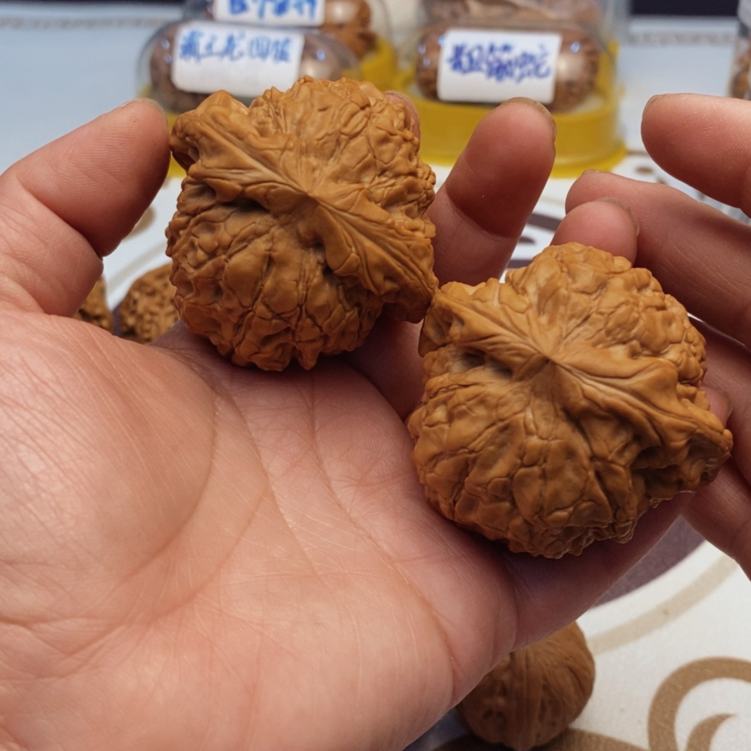 文玩核桃吊坠龙鼎53尺全品