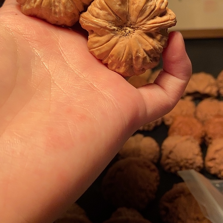 文玩核桃吊坠J****e111111111