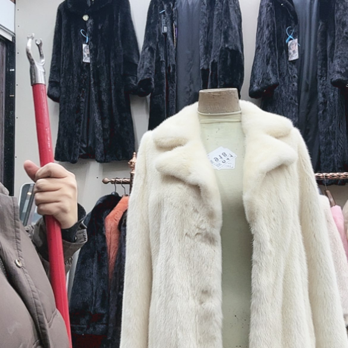 【闪购商品】棉****噜258369