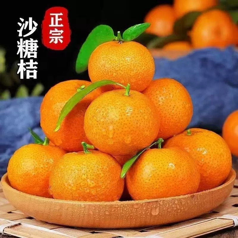 正宗沙糖桔新鲜采摘皮薄多汁香甜可口应季水果L