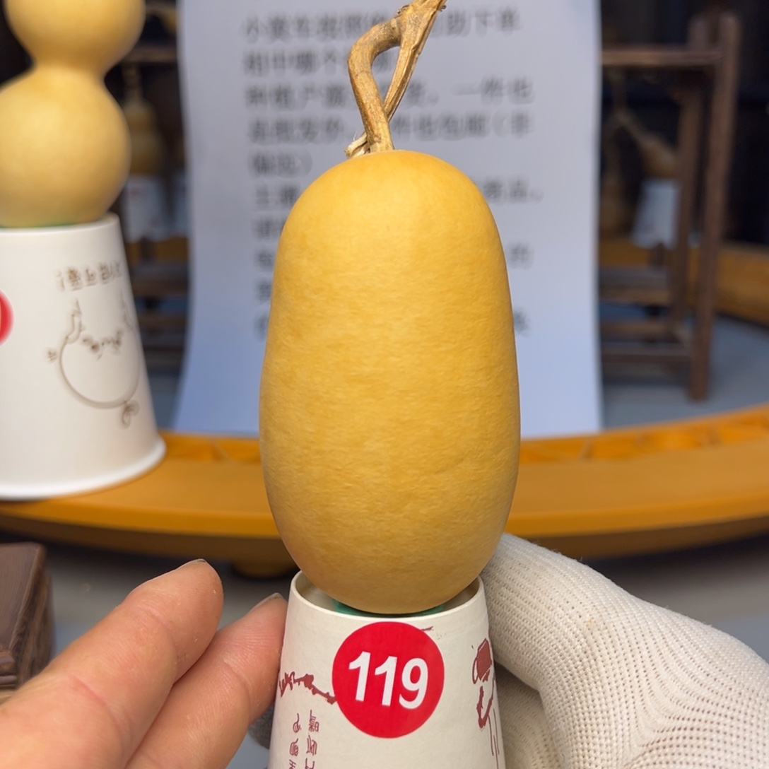 闪电购自助下单编号119