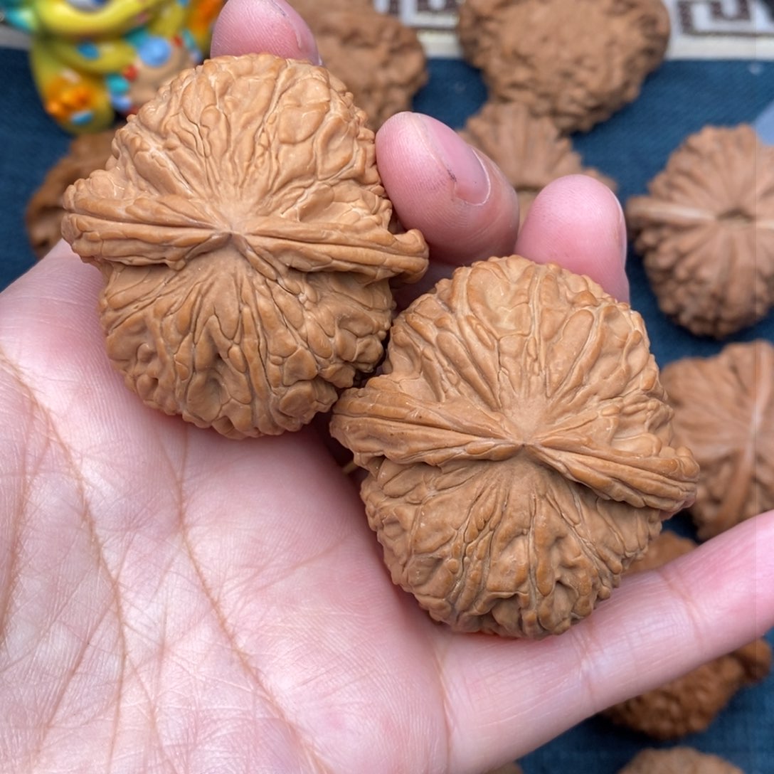 文玩核桃把件44毕业爆肉球白全品