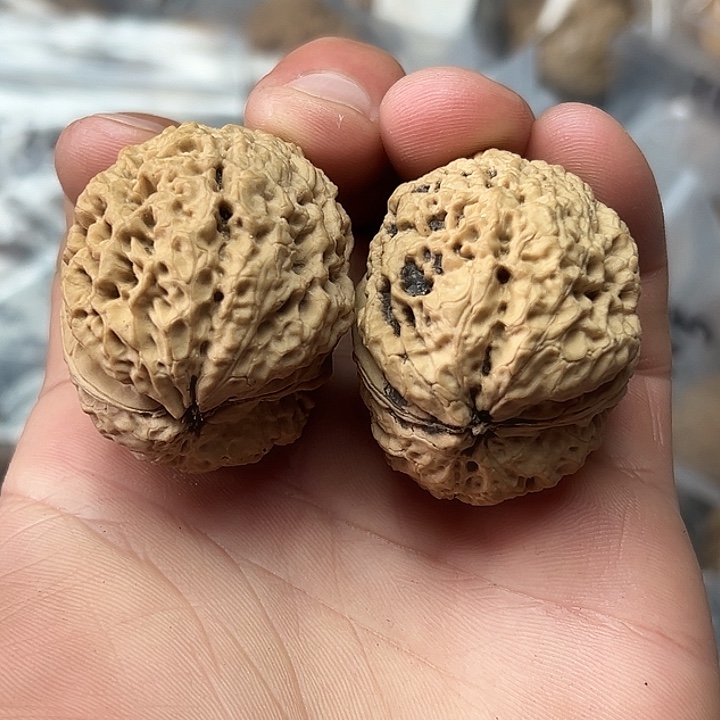 核桃11号花中花39尺