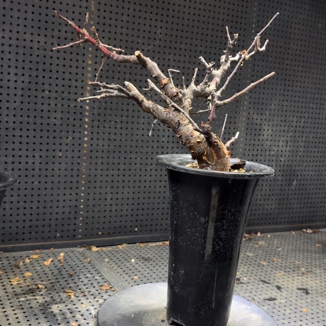 学***迷166999999966999966666