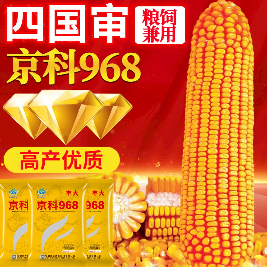 四国审高产玉米种子丰大京科968大棒产量高抗病抗虫抗旱适应性广