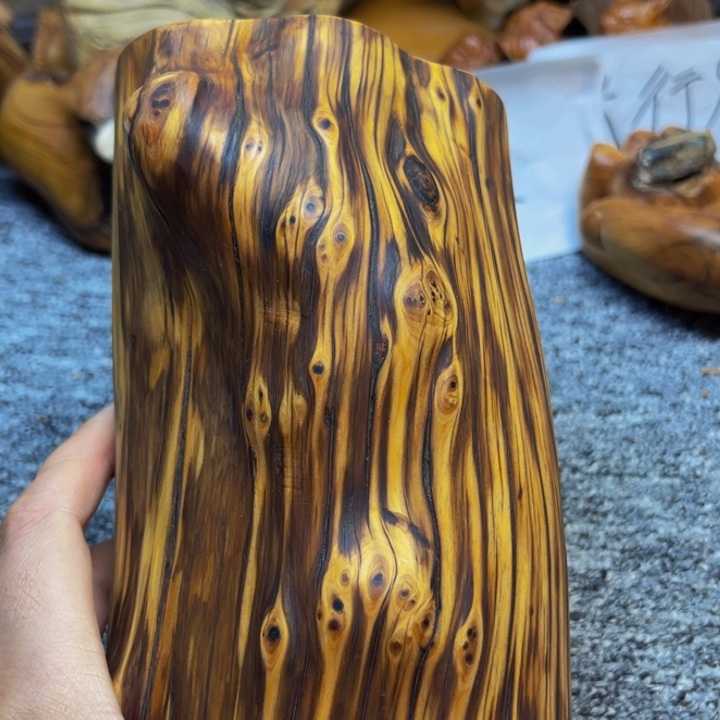 柏木（崖柏）崖柏251