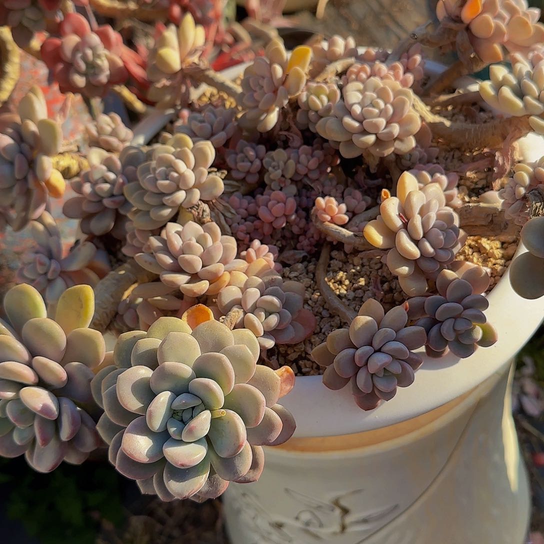 刘*沐呃呃啦咯哦哦哦哦哦哦哦哦哦哦