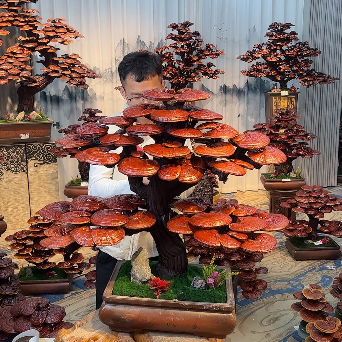 妍***莉无花朵88888888888