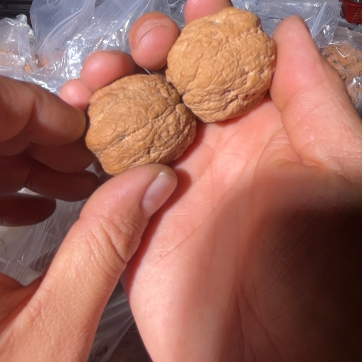 *****文玩核桃吊坠滇西113