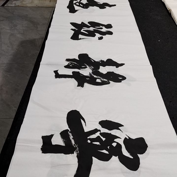 翰墨申国栋老师作品