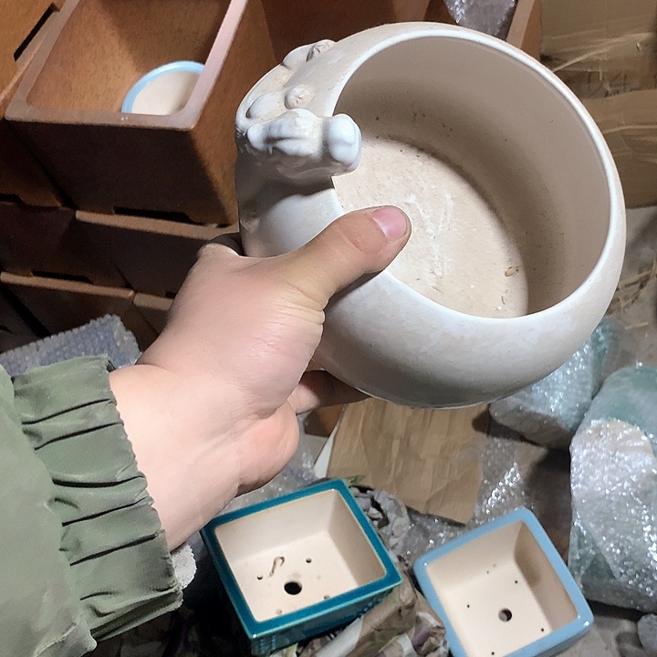 紫砂我要努力去实现了