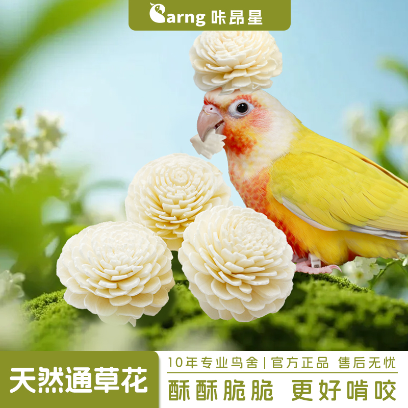 咔昂星鹦鹉玩具大全解闷自嗨啃咬通草花牡丹磨嘴牙用品鸟笼配件