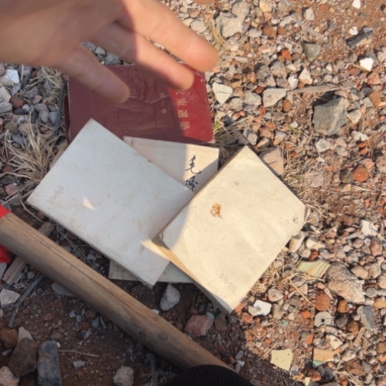 胡***俊核桃木/黑胡桃（胡桃木）