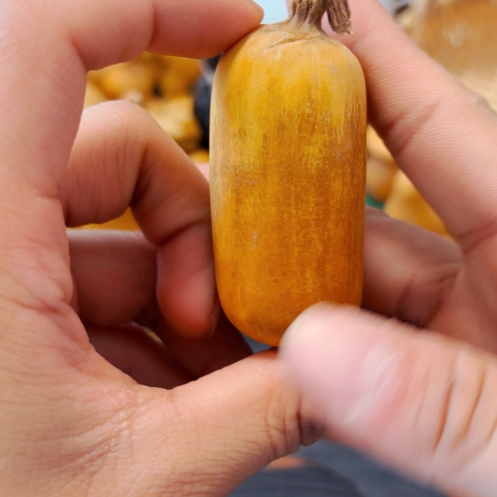 秦**拙88888888888888888