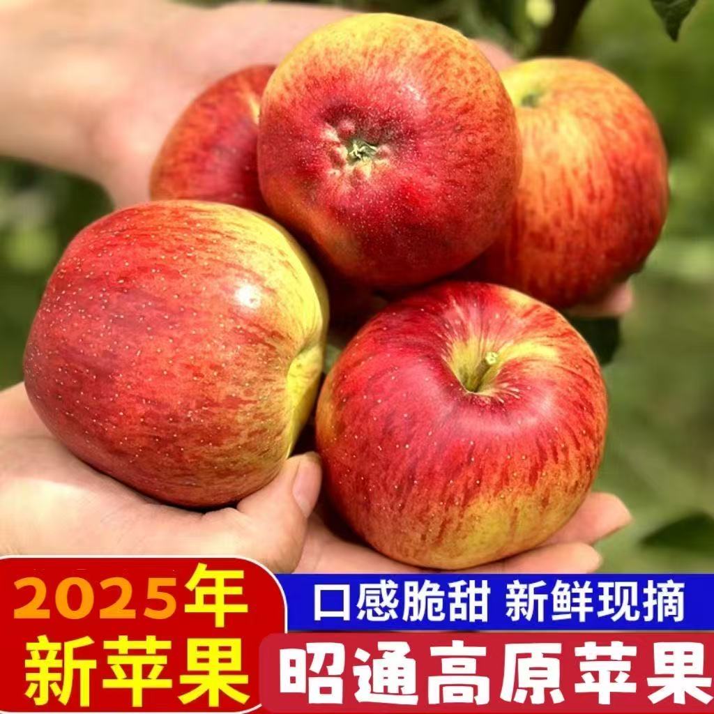 2025年云南昭通红露丑苹果当季水果脆甜现摘红露苹果