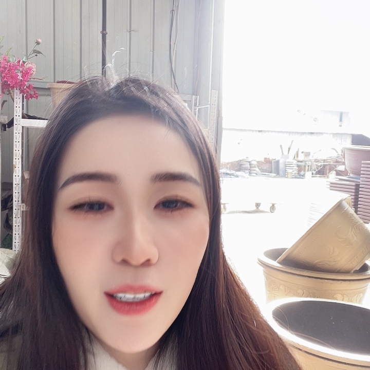 圆60口径花盆 六个