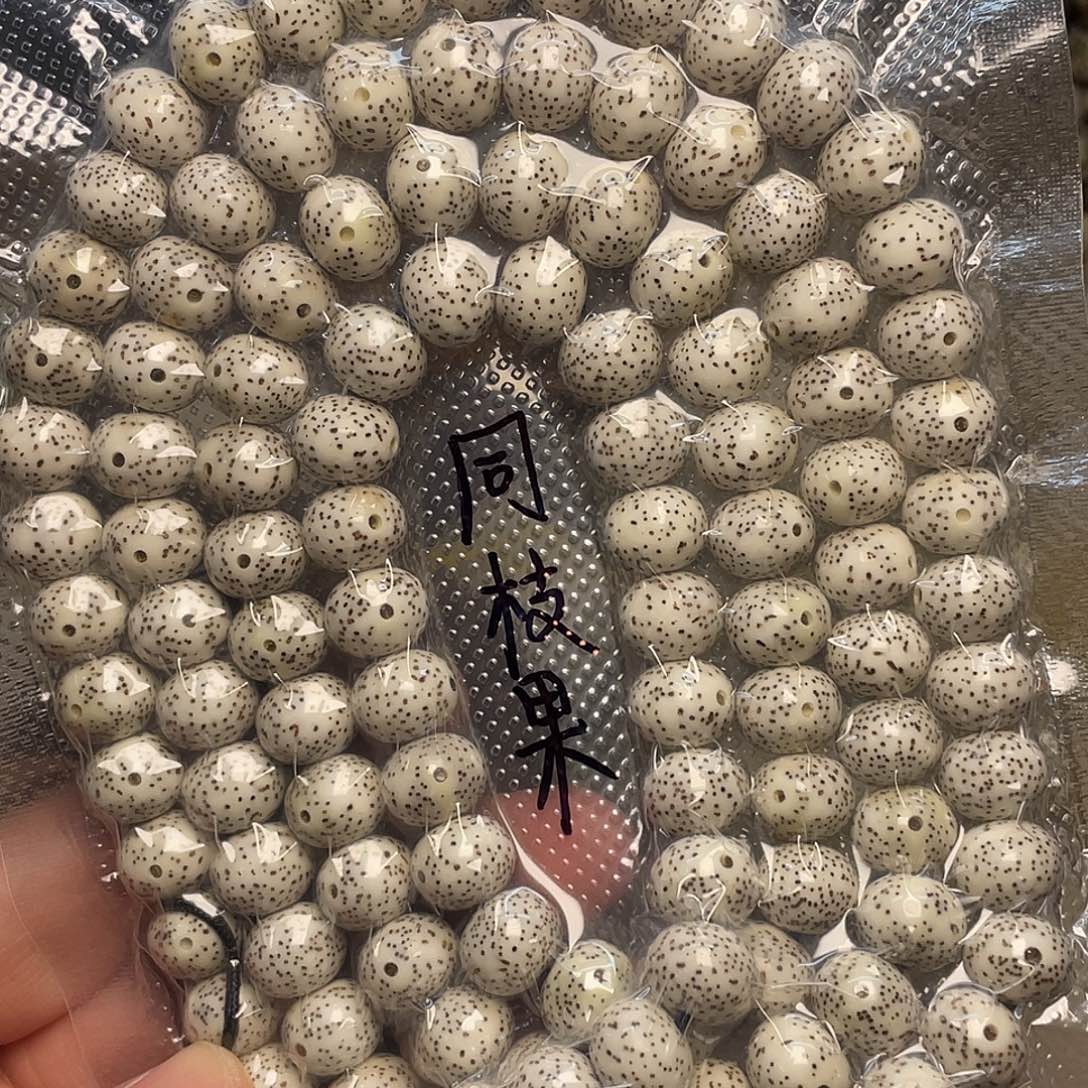 星月菩提吊坠12×10尺寸，正月同枝果，带备籽