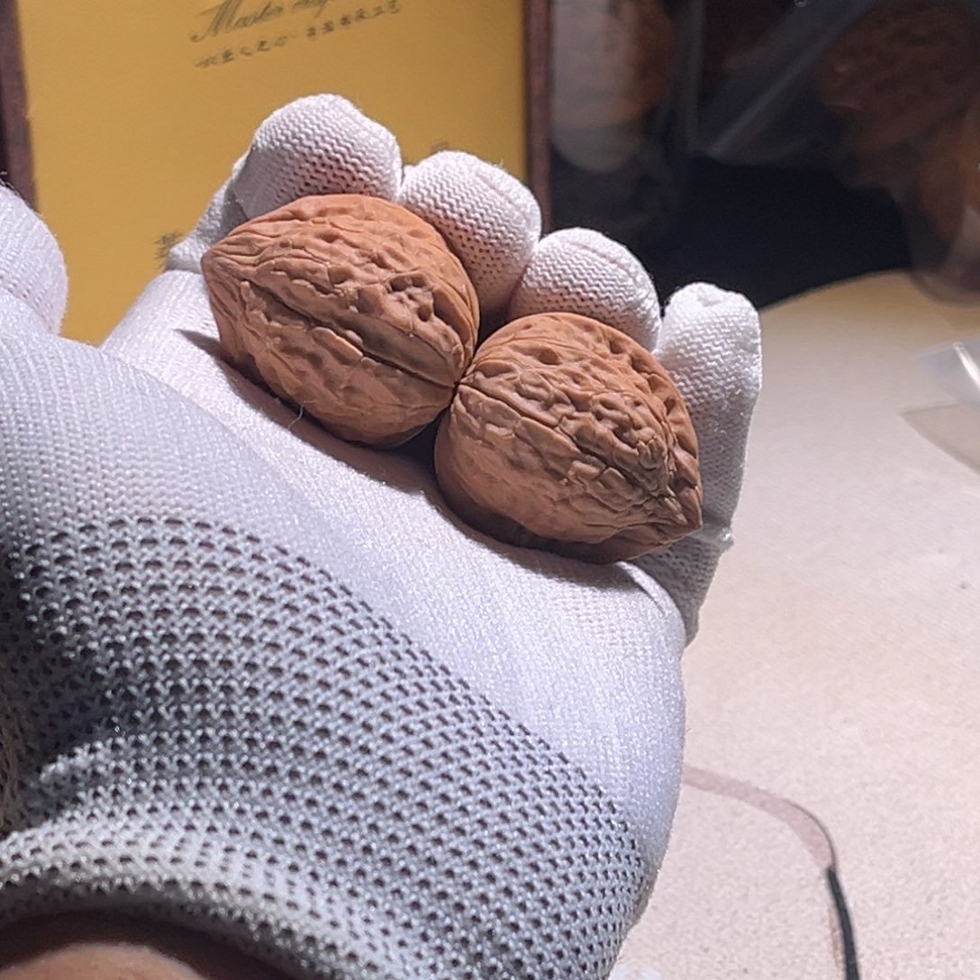 ****龟甲纹龟甲纹龟甲纹 