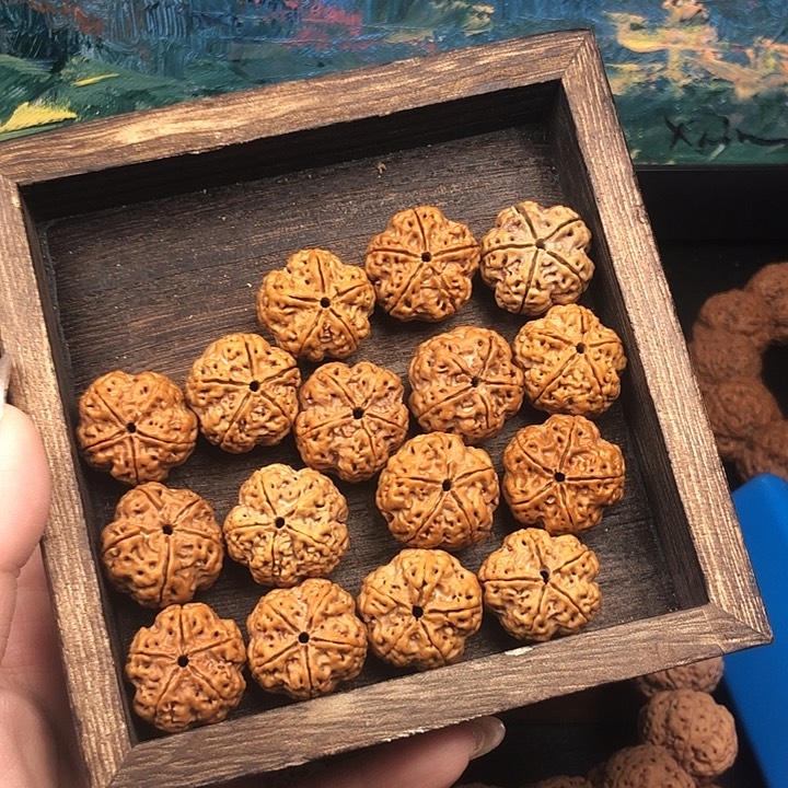 金刚菩提吊坠古龙针孔峰王21