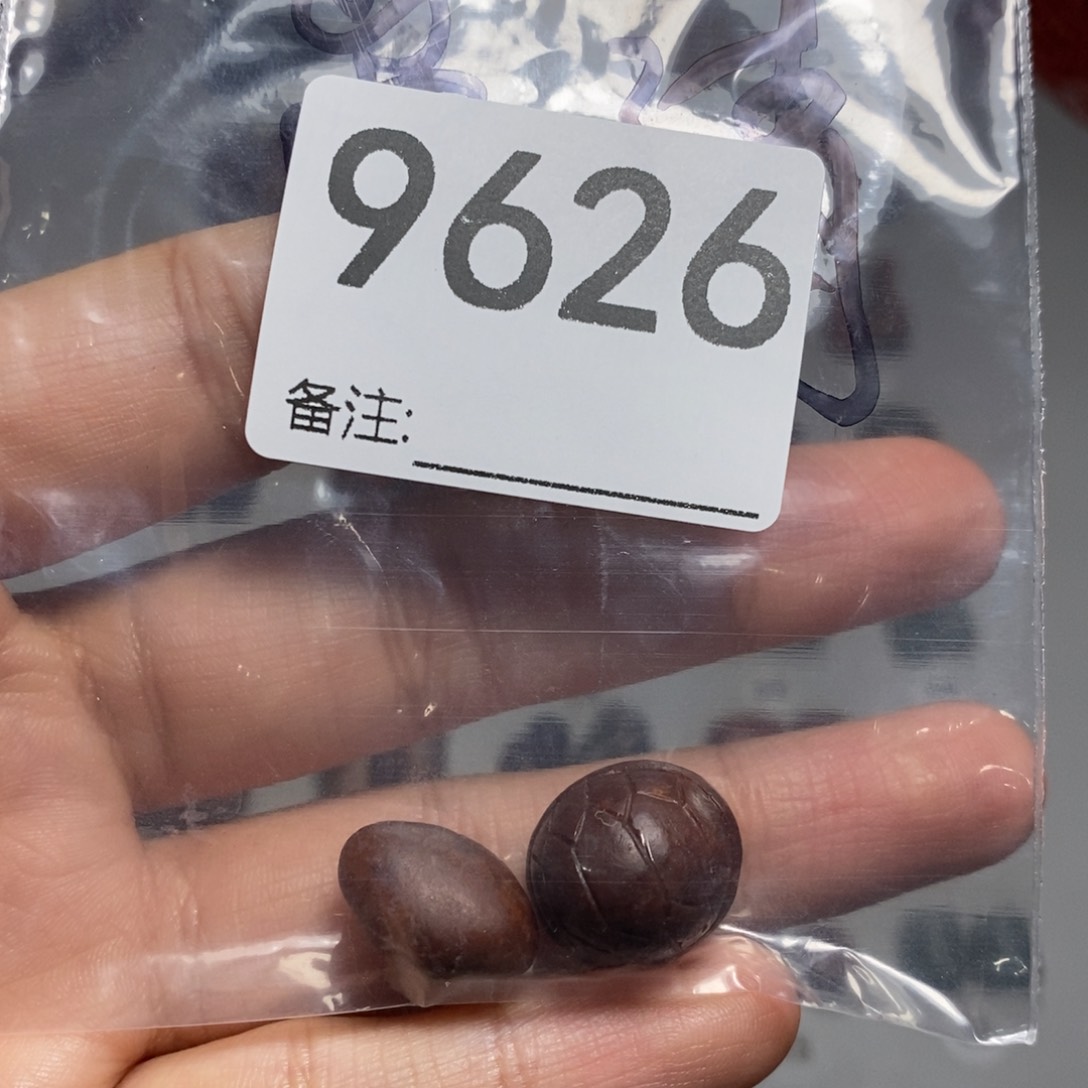 颈饰未镶嵌透闪石质玉崇*