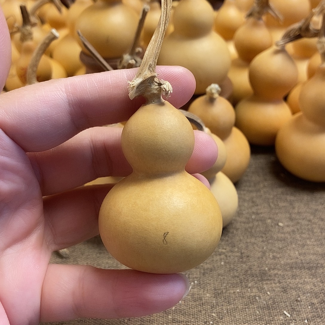 文玩葫芦 完美主义者 慎拍8