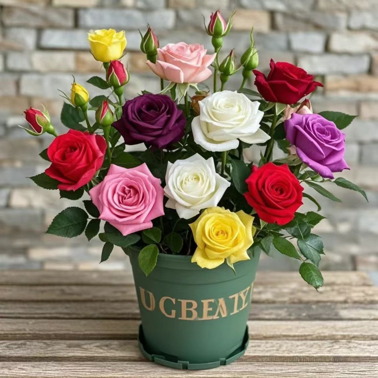 （混色)带花发基地盆栽适合阳台庭院种植四季开花